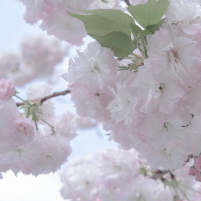 兽设赛博风格设计兽圈社群